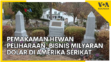 Pemakaman Hewan Peliharaan, Bisnis Milyaran Dolar di Amerika Serikat