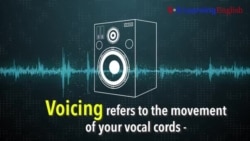 How to Pronounce: What is Voicing?