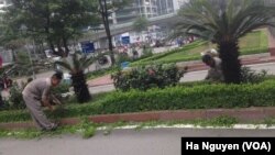FILE - Maintenance workers tend to some bushes in Hanoi, where most people who want a job can find one. 