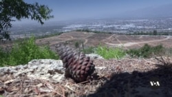 California works to turn one of its biggest landfills into public park